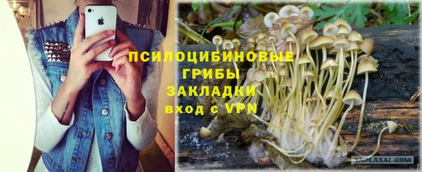 бутират Аркадак