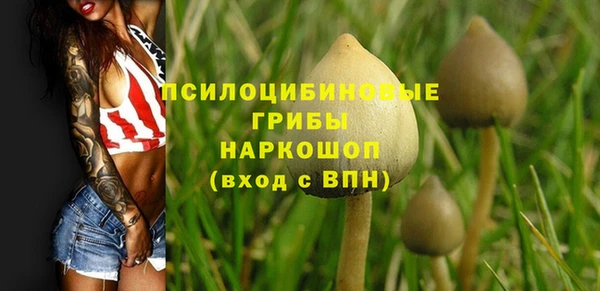 гашик Арсеньев